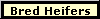Bred Heifers